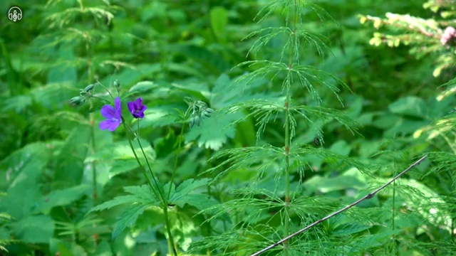  수산물 품질관리사 자격증 , 취득한 방법