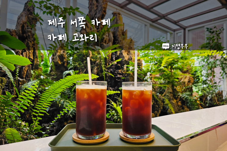  제주 서쪽 카페 고와리 방림원 갔다가 가기 좋은 카페 식물 장식이 멋진 제주도 한경면 카페