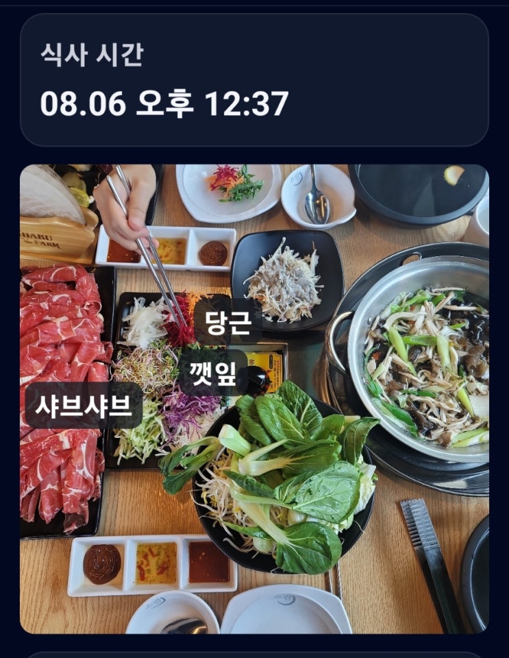 연속<b>혈당 측정기</b>... 먹고 하루 종일 혈당이 안정적으로 관리된 날
