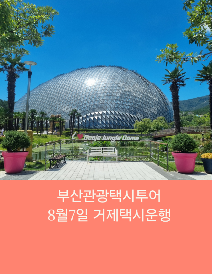  부산택시투어 부산관광택시 거제여행