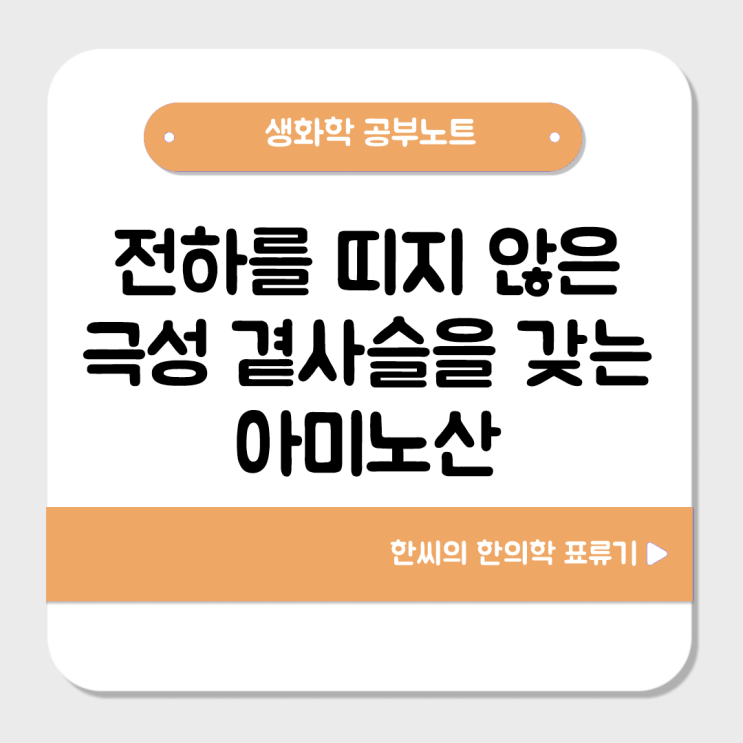  '극성 곁사슬을 갖는 아미노산'에 대해 알아보자