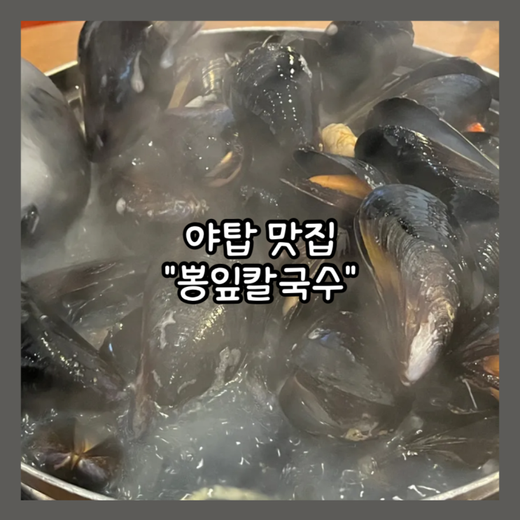  [분당] 야탑 찐 주민 맛집 "뽕잎칼국수" 내돈내산