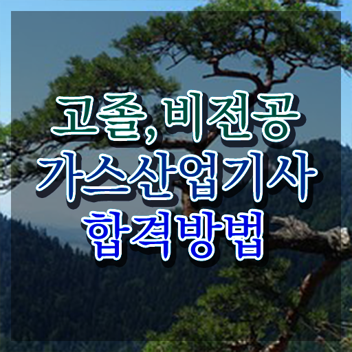  가스산업기사 실기 가스산업기사 취득자격 집에서 온라인으로 단기간에 끝낸 후기