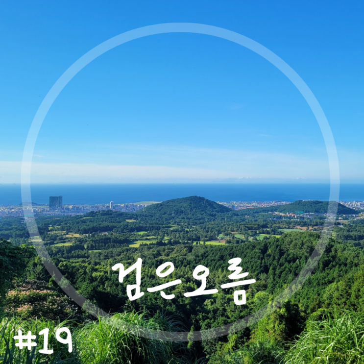  제주 연동 검은오름 제주공항 근처 오름 제주 시내 오름 추천