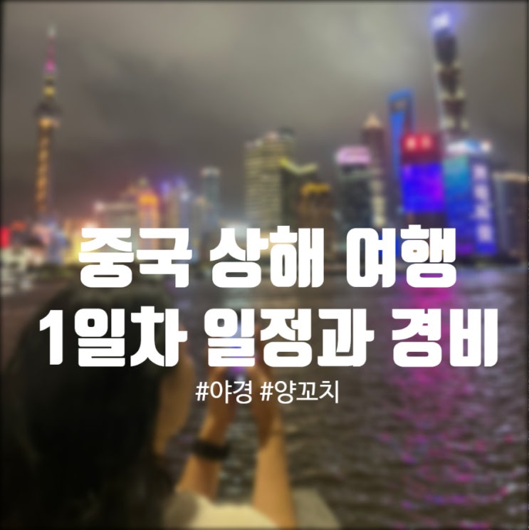  중국 상하이 여행 1일차, 동방명주 와이탄 대동 half a drink