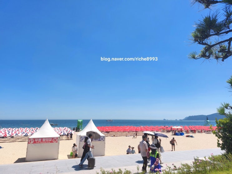  우리는 슬기로운 여름방학을 보내고 싶었어