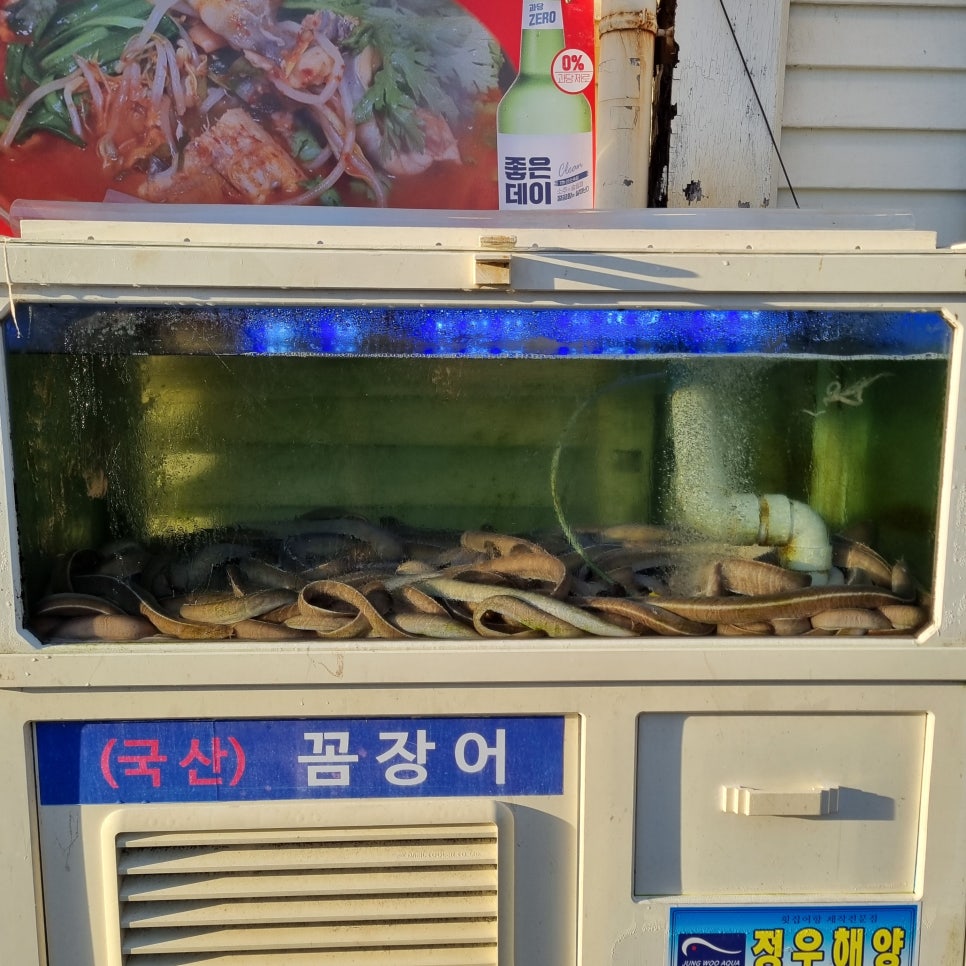 뚝방산꼼장어 사진 2