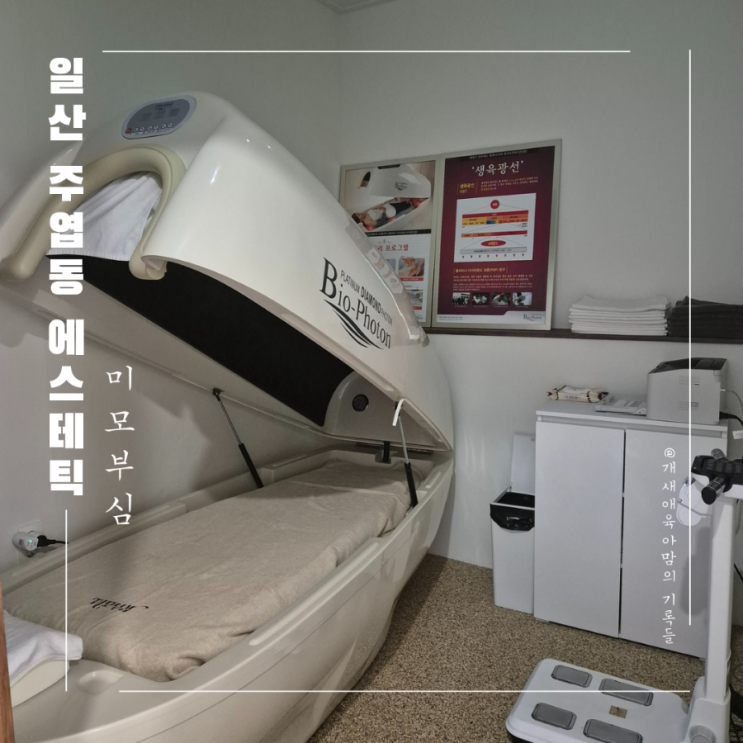 일산 주엽 바디관리, 미모부심 에스테틱에서 산후관리로 좋기로 유명한 바이오포톤 체험 후기 일산 주엽 바디관리, 미모부심 에스테틱에서 산후관리로 좋기로 유명한 바이오포톤 체험 후기
