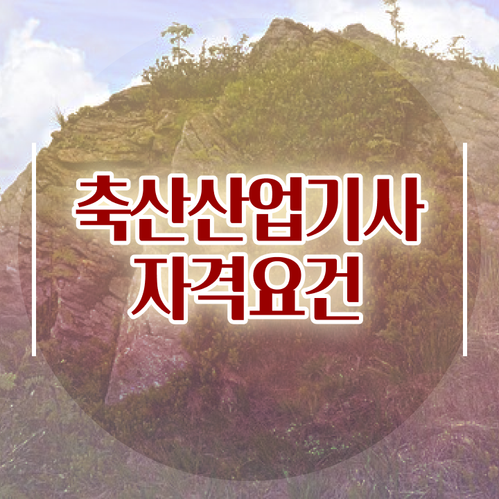  축산산업기사 시험자격 학점은행제로 1학기에 준비한 전략