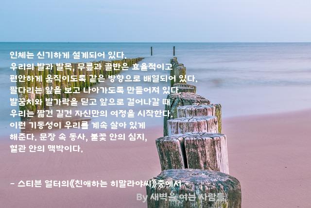 .......우리 .......우리