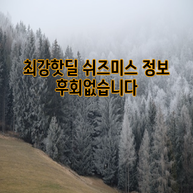 최강핫딜! 쉬즈미스 패턴 셔츠 및 블라우스 추천 | 봄 여름 가을 코디, 대학생, 직장인 필수 ....
