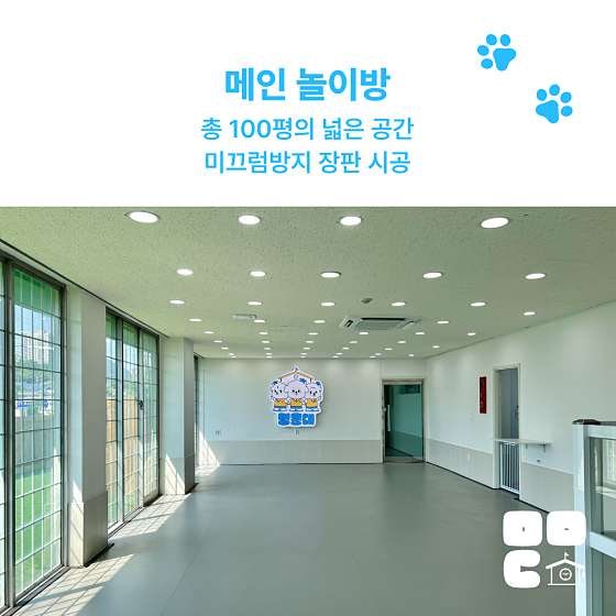 사진 9