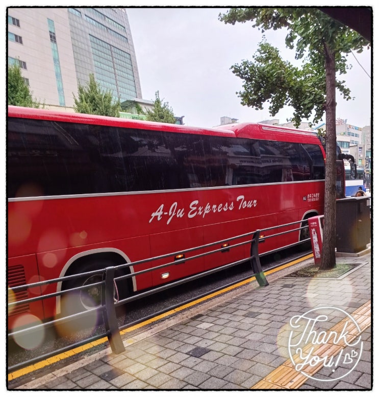  오션월드 자차없이 셔틀버스로 가기