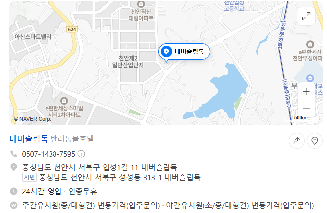 사진 5
