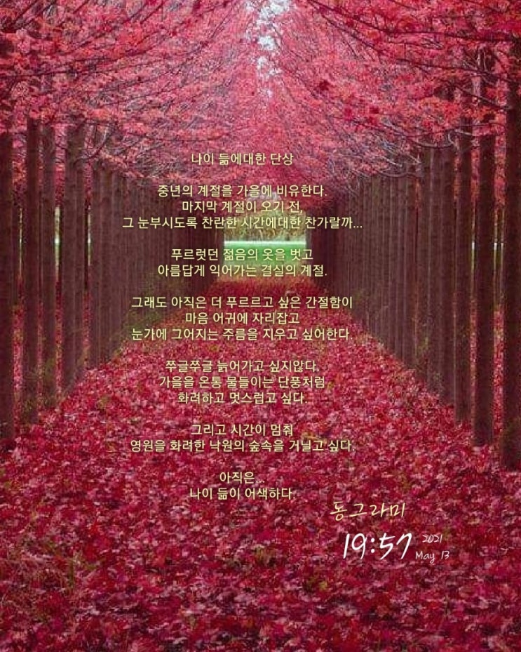  나이 듦에 대한 단상