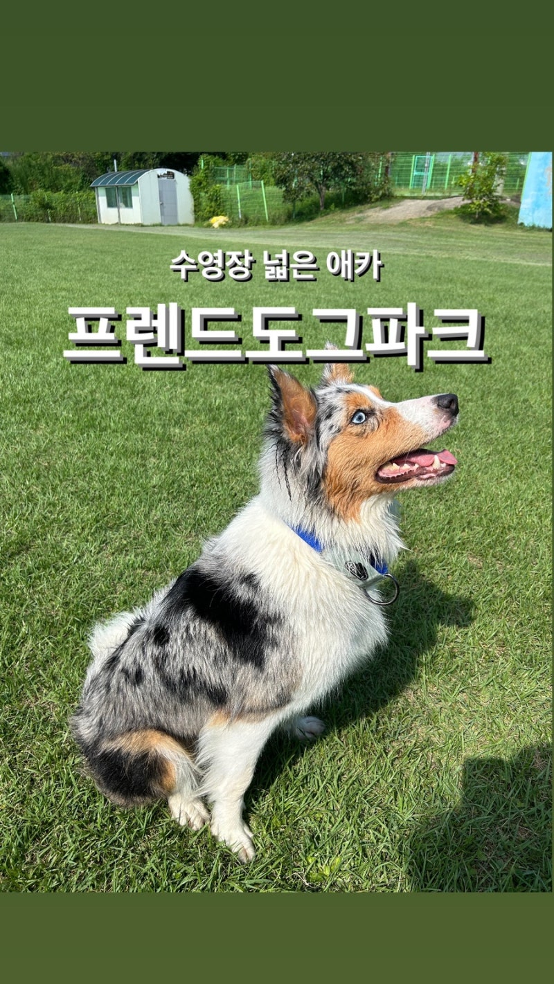 사진 6
