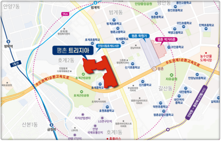  평촌 트리지아 조합원입주권 및 분양권 입주 세금 알아보기(융창아파트주변지구, 취득세, 증여세 등)