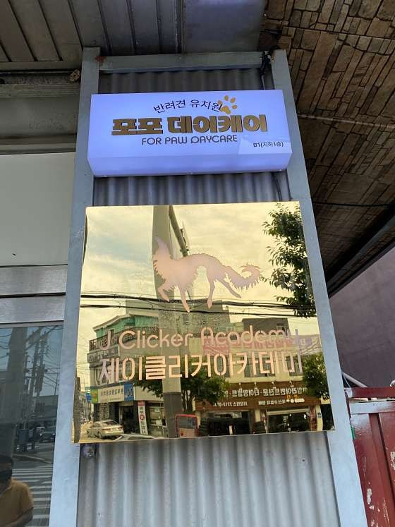 사진 2