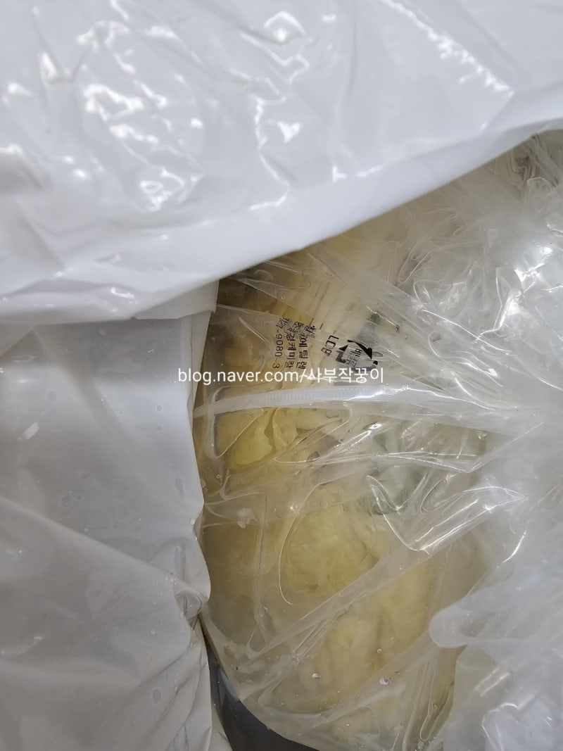 홍진경김치 내돈내산 솔직후기