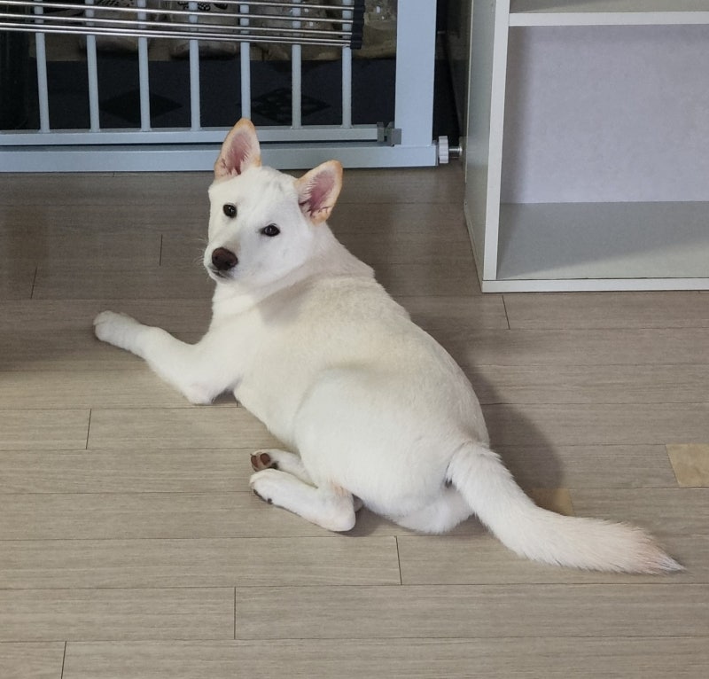 사진 3