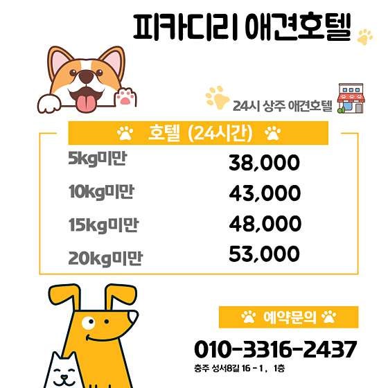 피카디리애견호텔