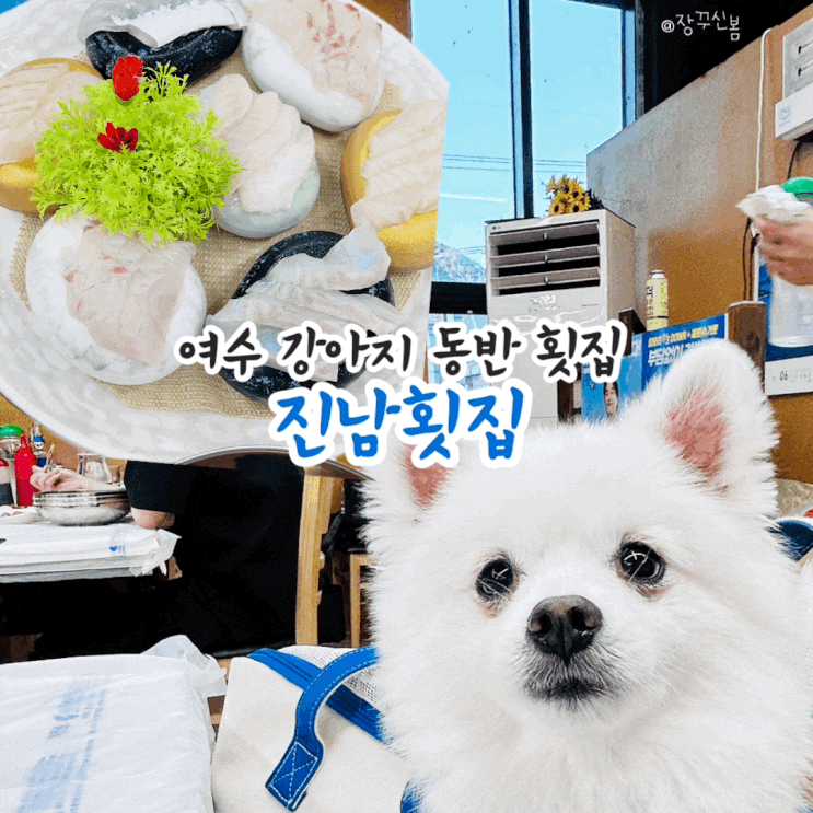 여수 애견동반 횟집 진남횟집 맛은 있지만 재방문 의사는 여수 애견동반 횟집 진남횟집 맛은 있지만 재방문 의사는