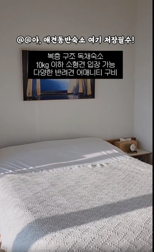 사진 5