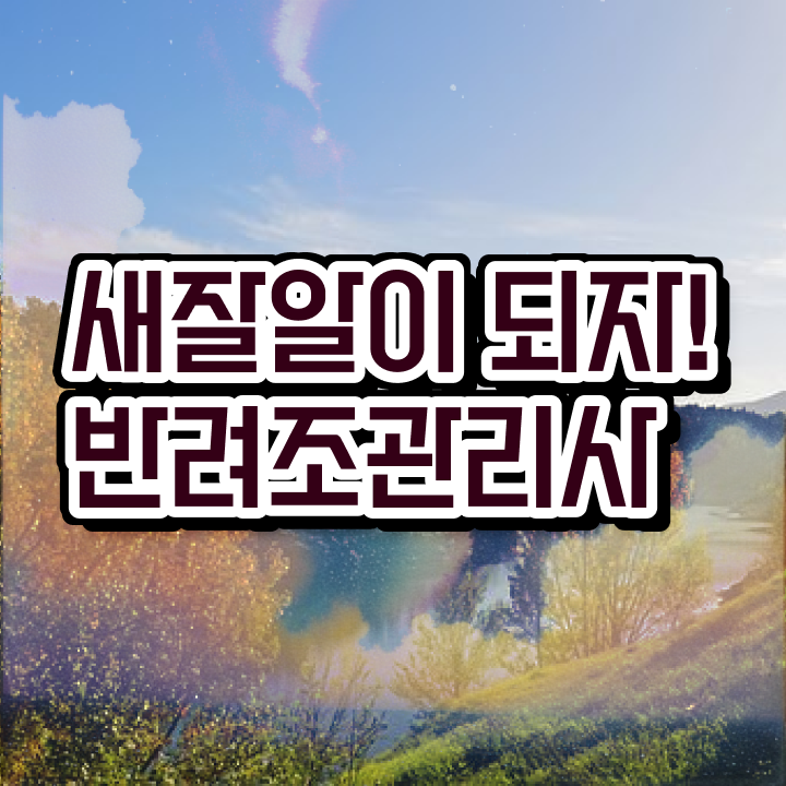  말하는 앵무새 가격 , 반려조관리사 자격증 취득한 과정 확인하고 가세요