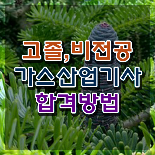  가스산업기사 전망 가스산업기사 취득자격 온라인 수업으로 쉽고 빠르게 끝낸 팁