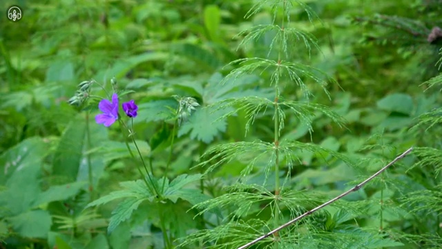  조선산업기사 응시자격 학점은행제로 반 년만에 성공한 노하우