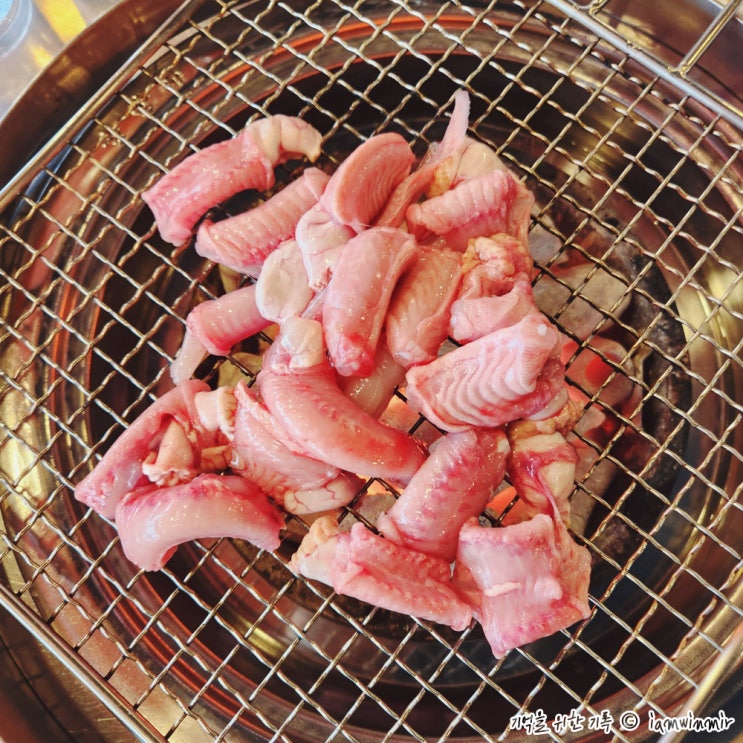 창원 마산어시장 장어구이거리 신포장어 창원 마산어시장 장어구이거리 신포장어