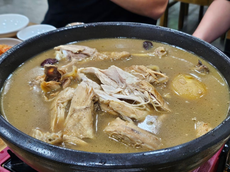  제주로컬맛집 복날음식 "오라토종닭" 백숙 옻닭 제대로 즐기며 몸보신하기