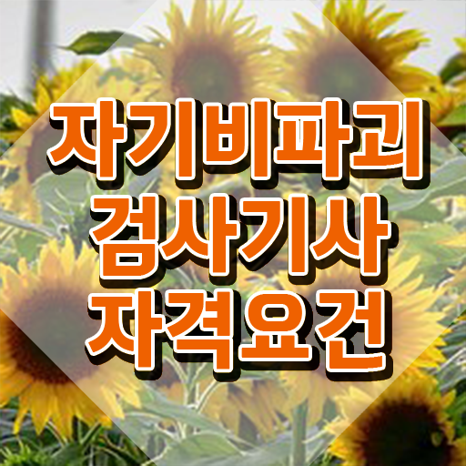  자기비파괴검사기사 시험응시조건 독학으로 4개월 만에 완료한 후기