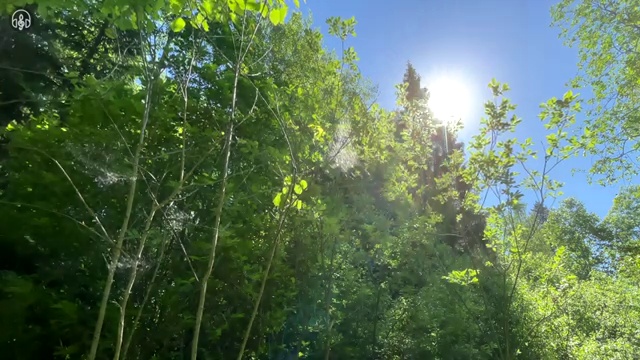  산업안전산업기사 조건 산업안전산업기사 취득자격 온라인으로 4달 안에 완료한 팁