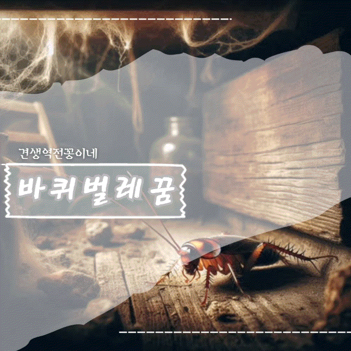  집에바퀴벌레나오는꿈 해몽 바퀴벌레 많이 나오는 꿈 바퀴벌레꿈