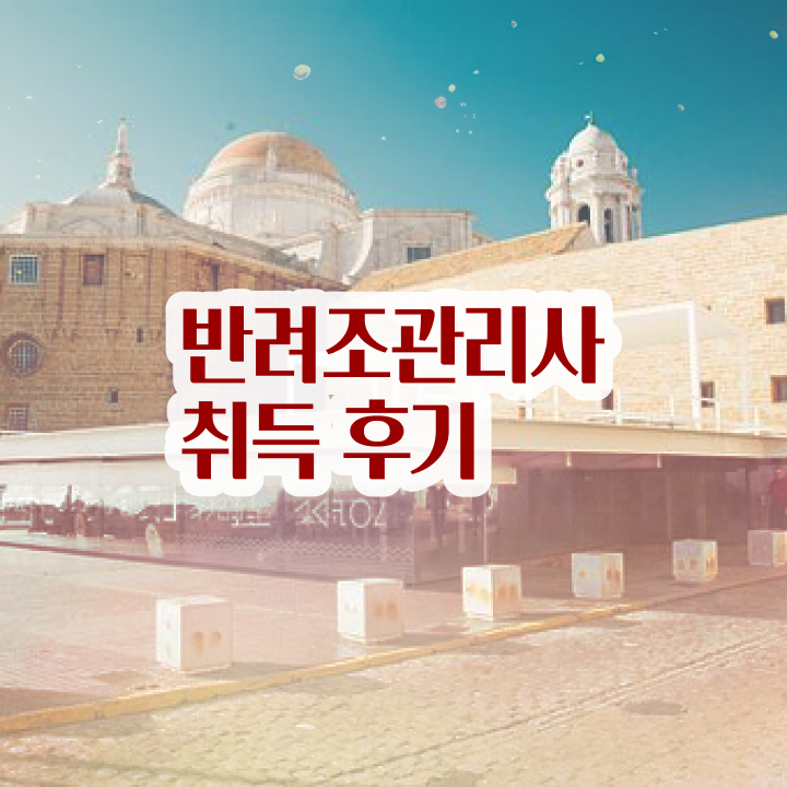  대전 앵무새 , 반려조관리사 자격증 독학으로 합격한 팁 , 취업 전망