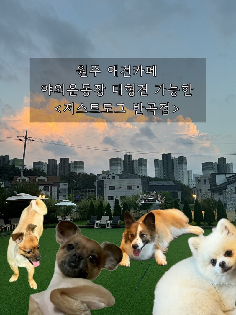 사진 4