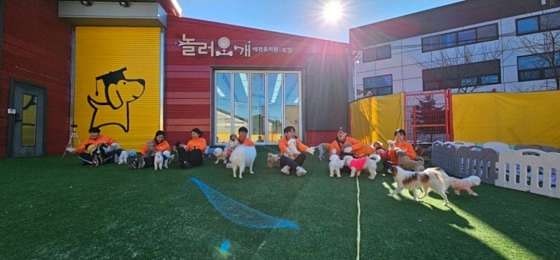사진 9