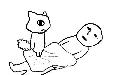  세계 고양이의 날