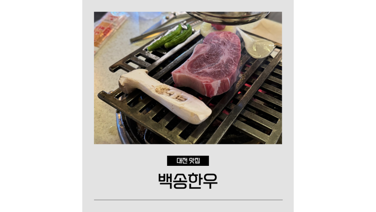 유성온천역 맛집 백송한우 대전 소고기 데이트 유성온천역 맛집 백송한우 대전 소고기 데이트