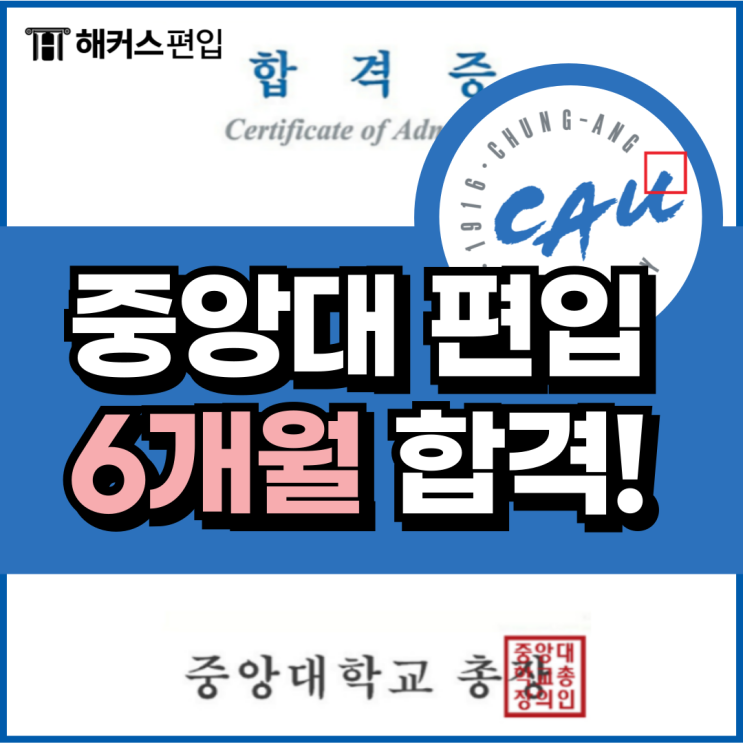  중앙대 편입 6개월 합격 후기 합격생 찐 스펙까지!