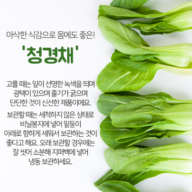 청경채 이미지