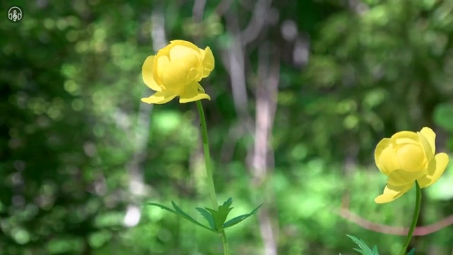  학원인테리어 빠르게 견적받는 비법 , 라티크 에게 먼저 연락주세요. (무료 서비스)