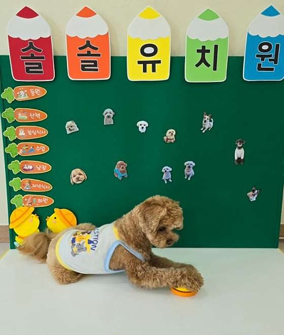 사진 7