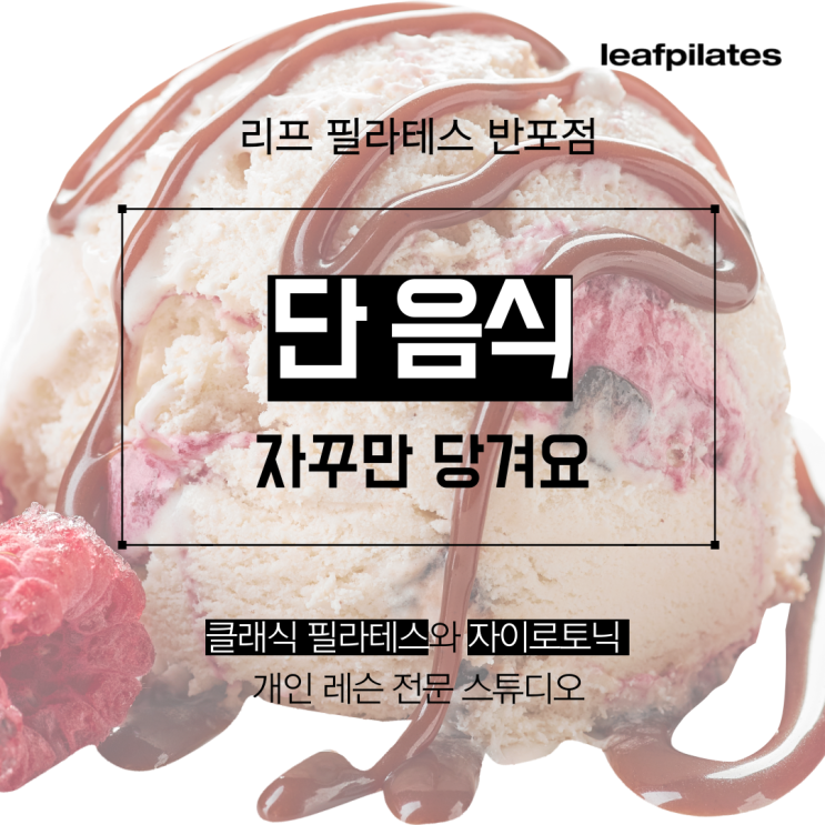  [신반포역 필라테스] 단 음식이 자꾸만 당기면 이 영양소가 부족한 신호!?/ 반포필라테스 리프