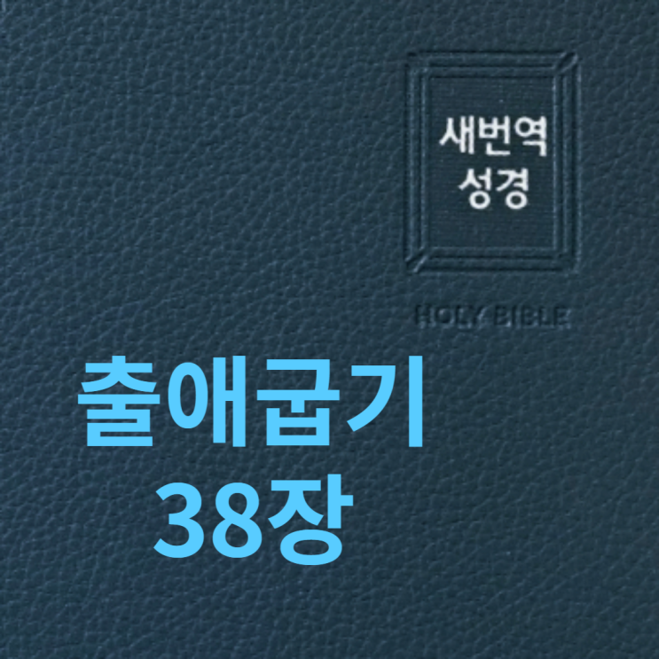 출애굽기 38장 출애굽기 38장