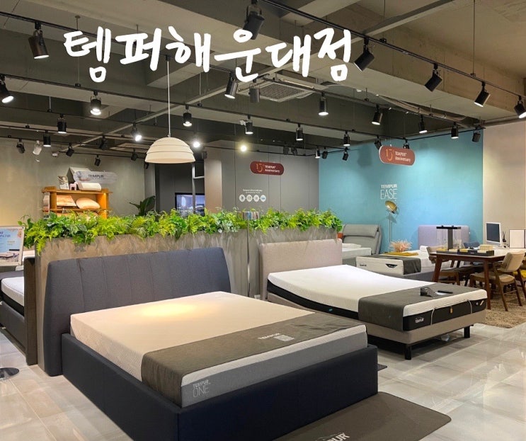  부산침대 전국 최대 규모 템퍼 해운대 방문