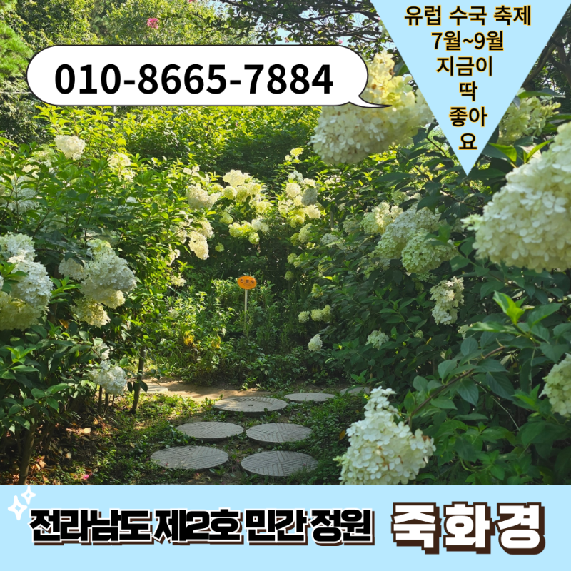 사진 2
