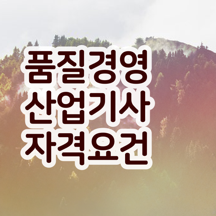  품질경영산업기사 독학 품질경영산업기사 시험응시자격 온라인 수업으로 5개월 만에 성공한 방법
