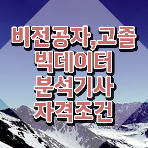  빅데이터 분석 기사취업 빅데이터분석기사 취득자격 온라인으로 4달 안에 완료한 전략